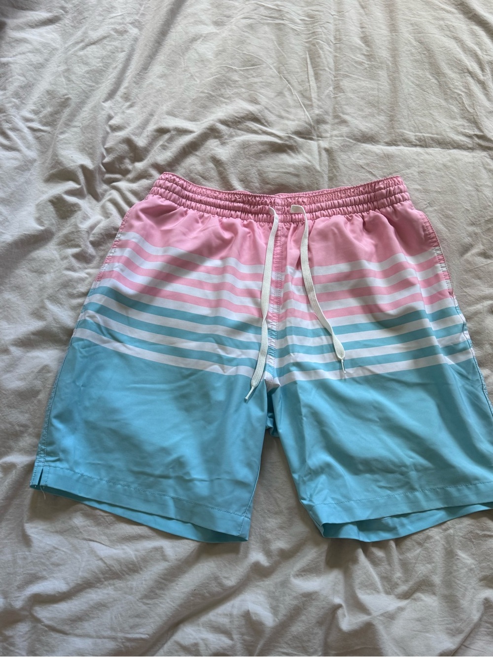chubbies Pink and Light Blue Striped Swim Shorts